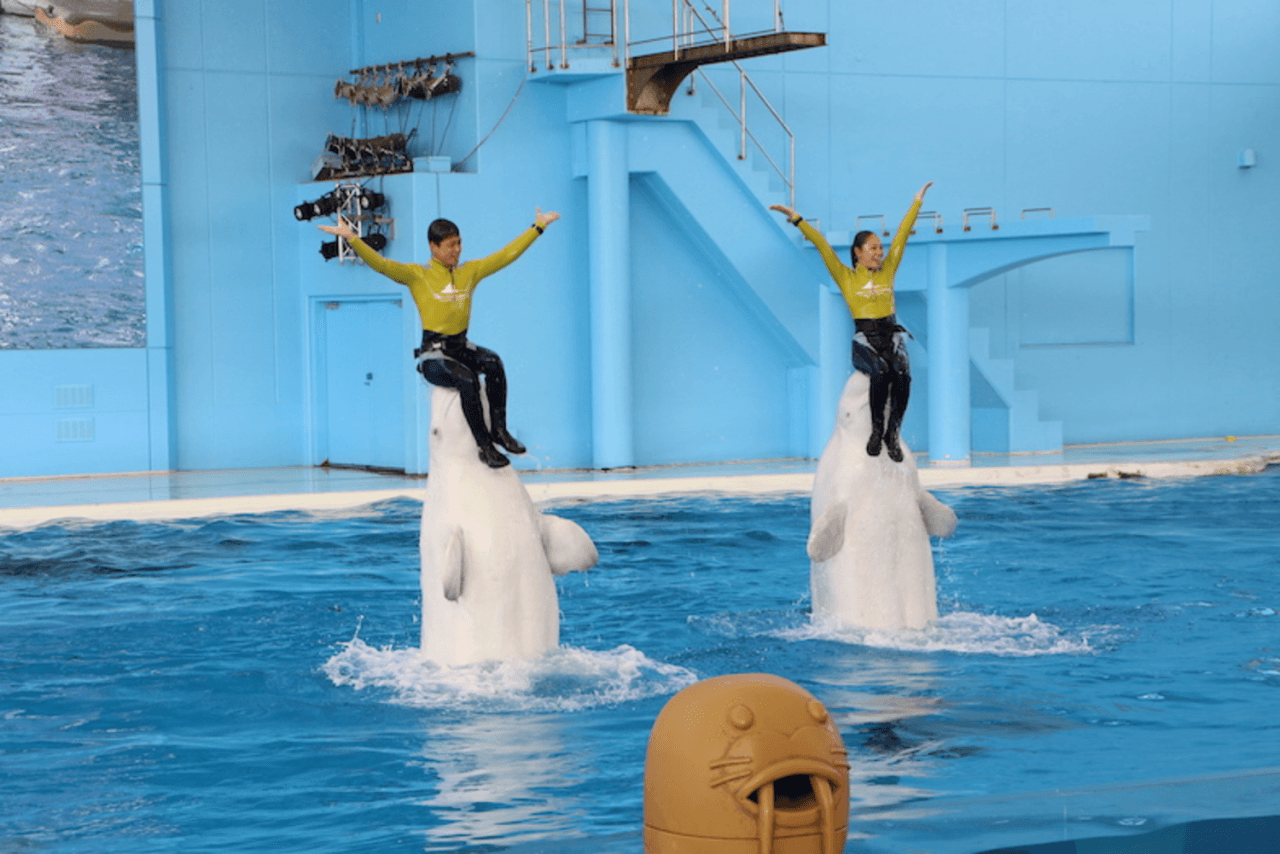 Yokohama Hakkeijima Sea Paradise Ticket - image 7