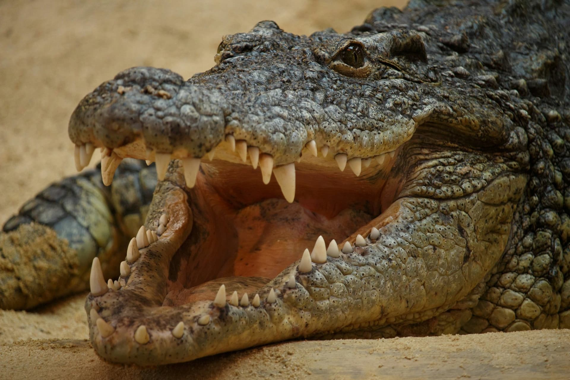 Faunia Nature Park Ticket - image 7